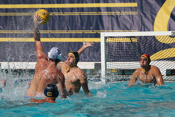 Collegiate Men's Water Polo: California Golden Bears vs UCLA Bruins