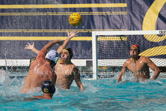 Collegiate Men's Water Polo: California Golden Bears vs UCLA Bruins