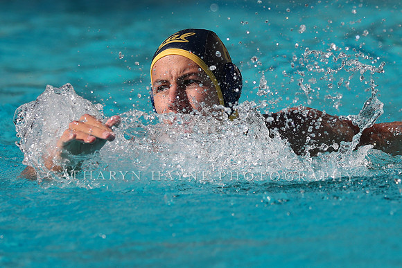 Collegiate Men's Water Polo: California Golden Bears vs UCLA Bruins