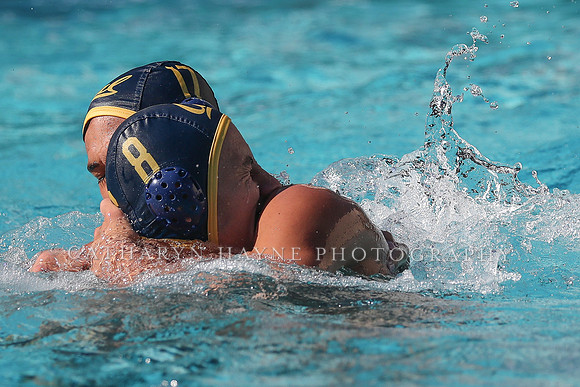 Collegiate Men's Water Polo: California Golden Bears vs UCLA Bruins