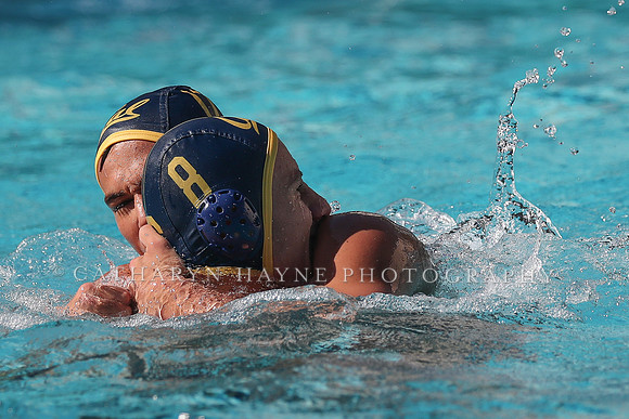 Collegiate Men's Water Polo: California Golden Bears vs UCLA Bruins