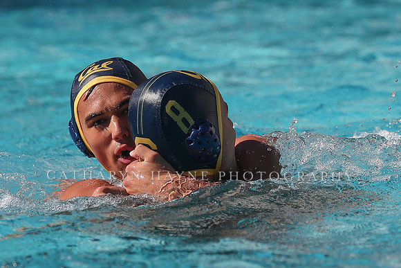 Collegiate Men's Water Polo: California Golden Bears vs UCLA Bruins
