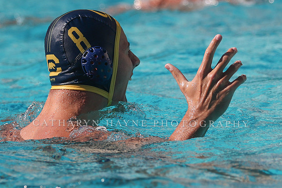 Collegiate Men's Water Polo: California Golden Bears vs UCLA Bruins