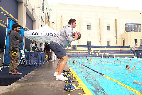 Collegiate Men's Water Polo: California Golden Bears vs Stanford Cardinals