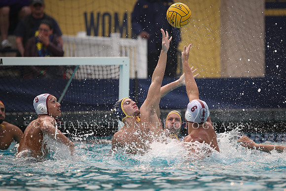 Collegiate Men's Water Polo: California Golden Bears vs Stanford Cardinals