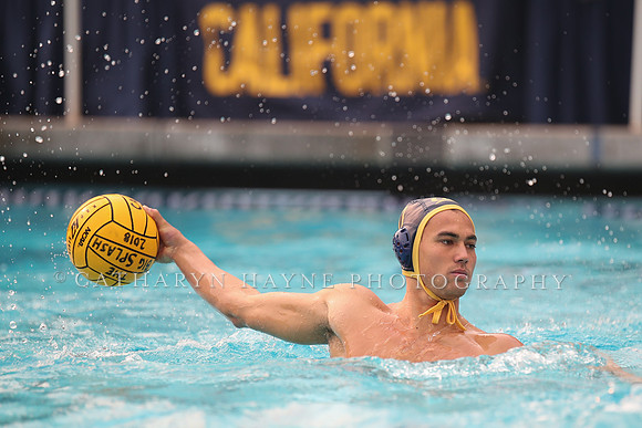 Collegiate Men's Water Polo: California Golden Bears vs Stanford Cardinals