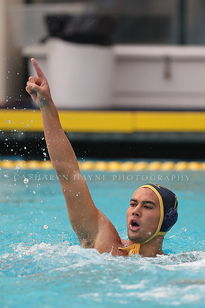 Collegiate Men's Water Polo: California Golden Bears vs Stanford Cardinals