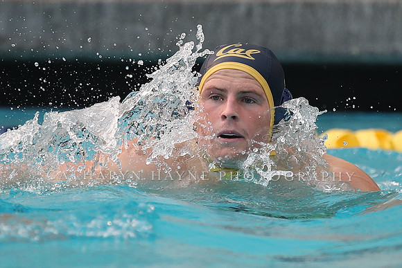 Collegiate Men's Water Polo: California Golden Bears vs Stanford Cardinals
