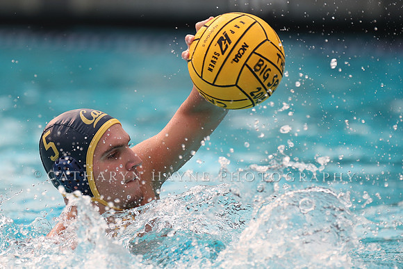 Collegiate Men's Water Polo: California Golden Bears vs Stanford Cardinals