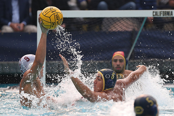 Collegiate Men's Water Polo: California Golden Bears vs Stanford Cardinals