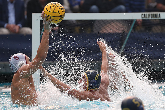 Collegiate Men's Water Polo: California Golden Bears vs Stanford Cardinals