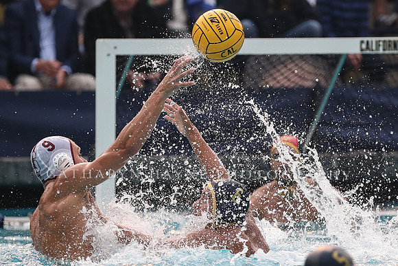 Collegiate Men's Water Polo: California Golden Bears vs Stanford Cardinals