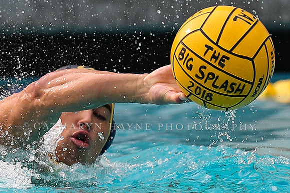 Collegiate Men's Water Polo: California Golden Bears vs Stanford Cardinals