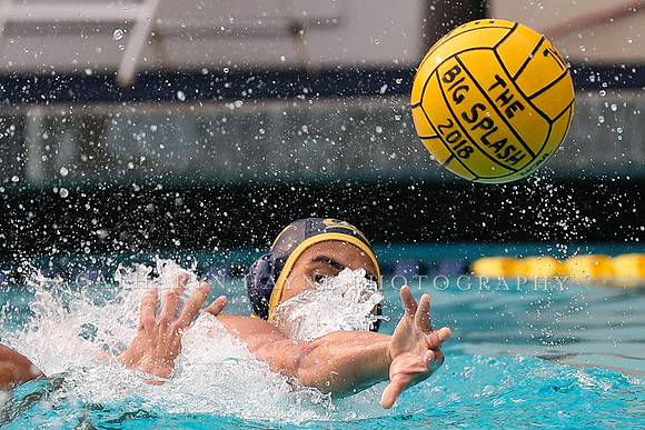 Collegiate Men's Water Polo: California Golden Bears vs Stanford Cardinals