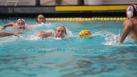 Collegiate Men's Water Polo: California Golden Bears vs Stanford Cardinals