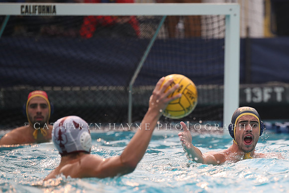 Collegiate Men's Water Polo: California Golden Bears vs Stanford Cardinals