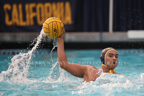 Collegiate Men's Water Polo: California Golden Bears vs Stanford Cardinals
