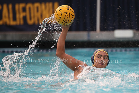 Collegiate Men's Water Polo: California Golden Bears vs Stanford Cardinals