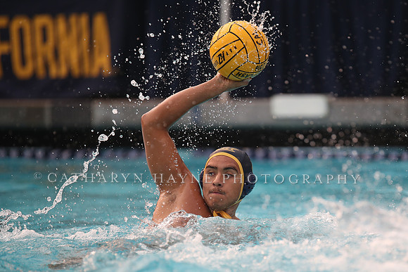 Collegiate Men's Water Polo: California Golden Bears vs Stanford Cardinals