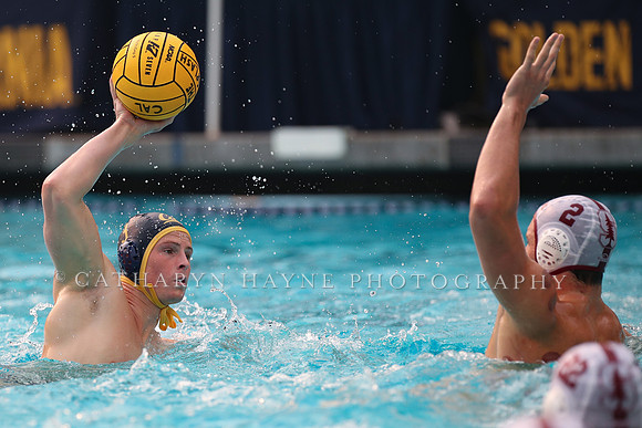 Collegiate Men's Water Polo: California Golden Bears vs Stanford Cardinals