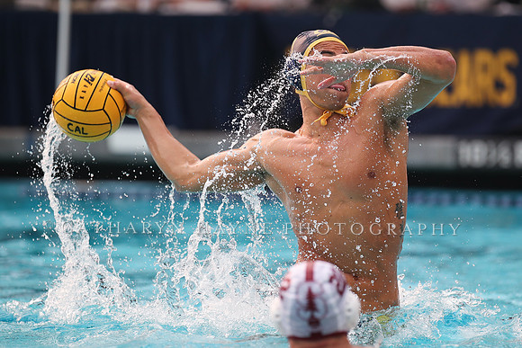 Collegiate Men's Water Polo: California Golden Bears vs Stanford Cardinals