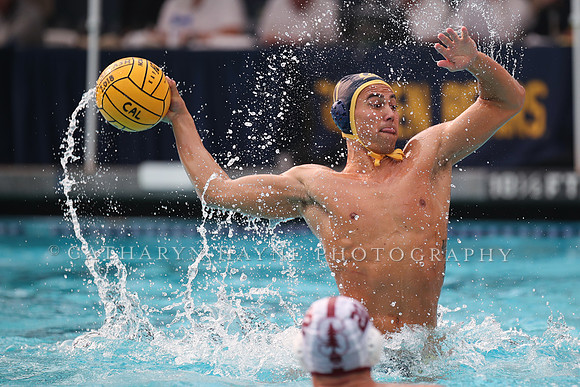Collegiate Men's Water Polo: California Golden Bears vs Stanford Cardinals