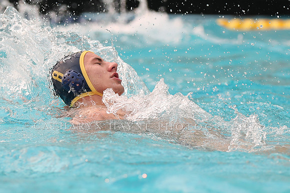 Collegiate Men's Water Polo: California Golden Bears vs Stanford Cardinals