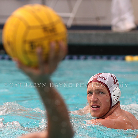 Collegiate Men's Water Polo: California Golden Bears vs Stanford Cardinals