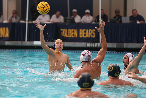 Collegiate Men's Water Polo: California Golden Bears vs Stanford Cardinals