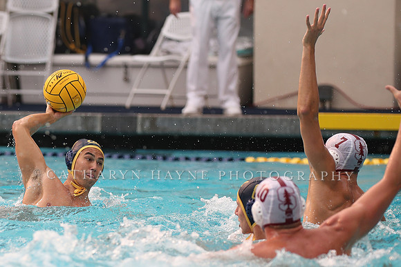 Collegiate Men's Water Polo: California Golden Bears vs Stanford Cardinals