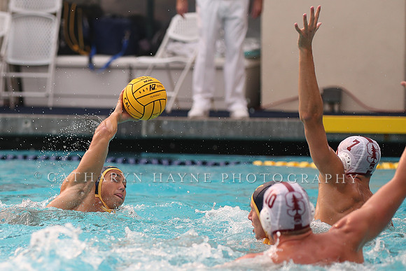 Collegiate Men's Water Polo: California Golden Bears vs Stanford Cardinals