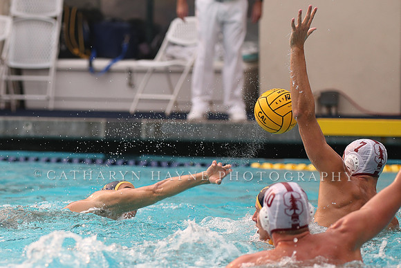 Collegiate Men's Water Polo: California Golden Bears vs Stanford Cardinals