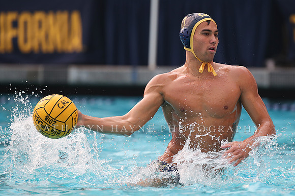 Collegiate Men's Water Polo: California Golden Bears vs Stanford Cardinals