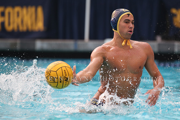 Collegiate Men's Water Polo: California Golden Bears vs Stanford Cardinals