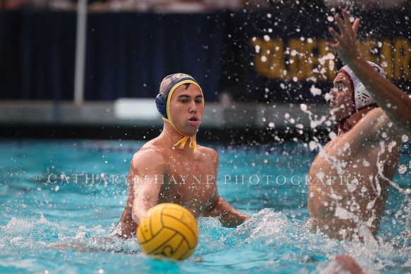 Collegiate Men's Water Polo: California Golden Bears vs Stanford Cardinals