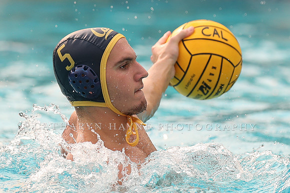 Collegiate Men's Water Polo: California Golden Bears vs Stanford Cardinals