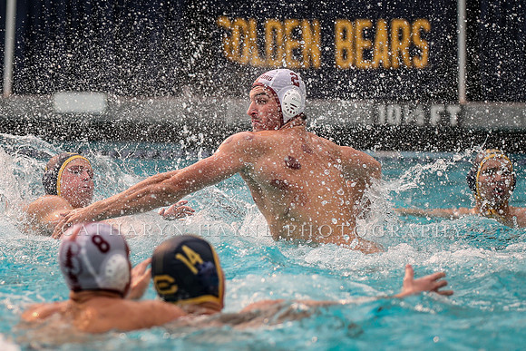 Collegiate Men's Water Polo: California Golden Bears vs Stanford Cardinals
