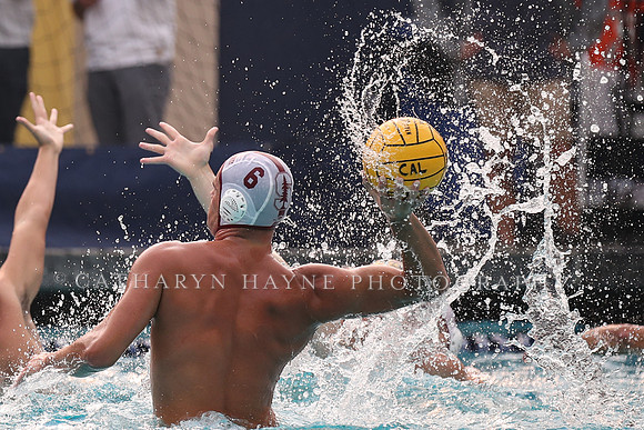 Collegiate Men's Water Polo: California Golden Bears vs Stanford Cardinals