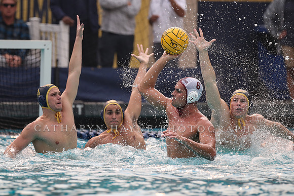 Collegiate Men's Water Polo: California Golden Bears vs Stanford Cardinals