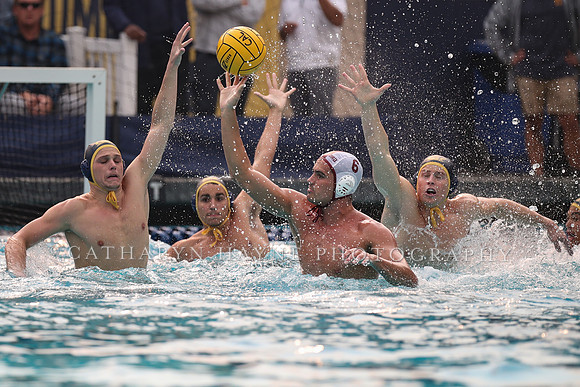 Collegiate Men's Water Polo: California Golden Bears vs Stanford Cardinals