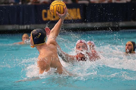 Collegiate Men's Water Polo: California Golden Bears vs Stanford Cardinals