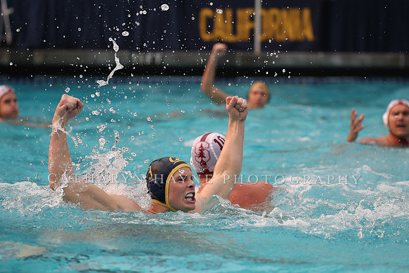 Collegiate Men's Water Polo: California Golden Bears vs Stanford Cardinals