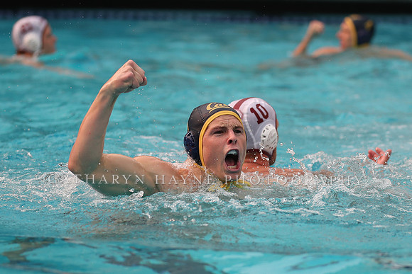 Collegiate Men's Water Polo: California Golden Bears vs Stanford Cardinals