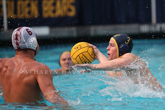 Collegiate Men's Water Polo: California Golden Bears vs Stanford Cardinals