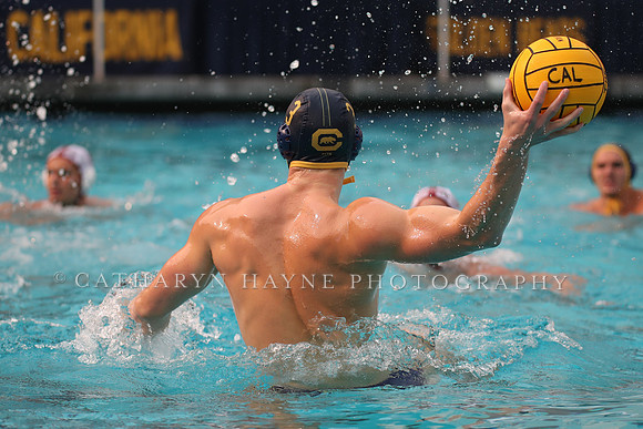 Collegiate Men's Water Polo: California Golden Bears vs Stanford Cardinals