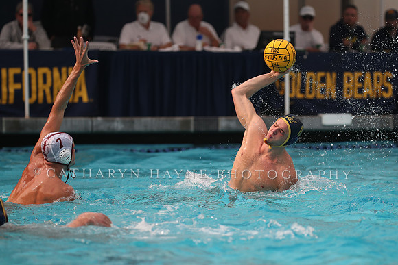 Collegiate Men's Water Polo: California Golden Bears vs Stanford Cardinals