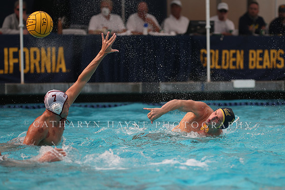 Collegiate Men's Water Polo: California Golden Bears vs Stanford Cardinals