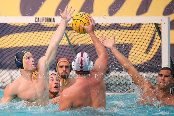 Collegiate Men's Water Polo: California Golden Bears vs Stanford Cardinals