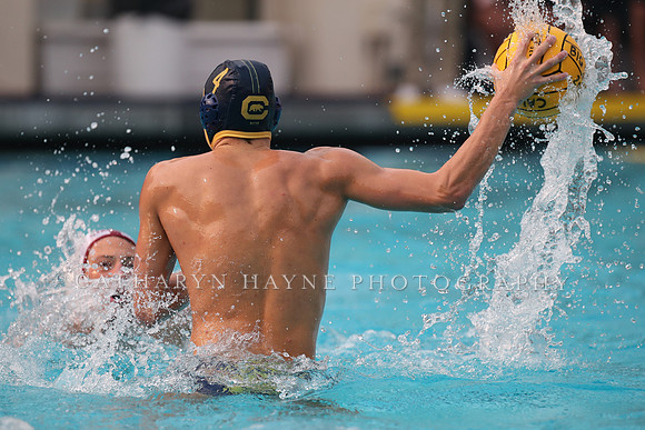 Collegiate Men's Water Polo: California Golden Bears vs Stanford Cardinals