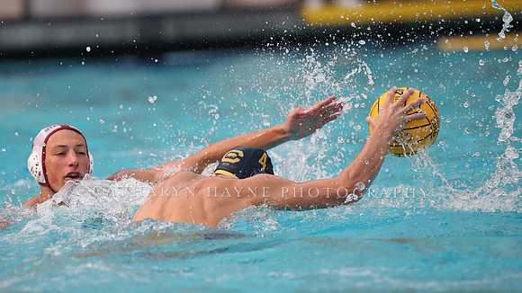 Collegiate Men's Water Polo: California Golden Bears vs Stanford Cardinals